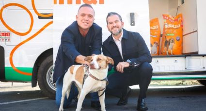 ¿Dónde recibe atención la perrita que corrió el Maratón de Monterrey? Busca ser adoptada