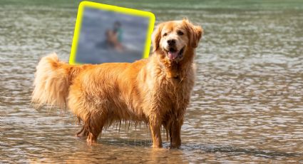 VIDEO | Hombre rescata a un perro que se metió al mar en Argentina
