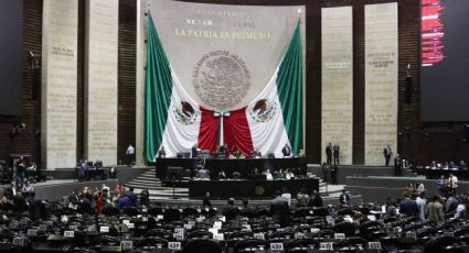 Recorte a pluris y a dinero a partidos, entre los 'grandes' temas electorales: Monreal