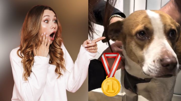 Perrita viral por correr el Maratón de Monterrey también obtendrá su medalla