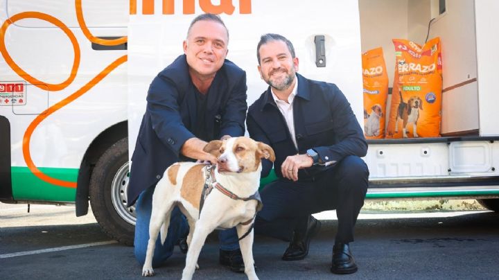 ¿Dónde recibe atención la perrita que corrió el Maratón de Monterrey? Busca ser adoptada