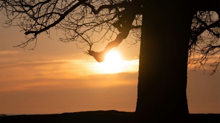 Solsticio de invierno 2025: ¿Cuándo y a qué hora llega a México?