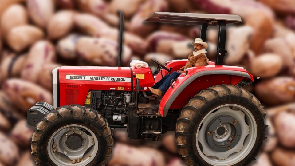 Los campesinos confían en que se logre una regulación más justa del mercado agrícola.