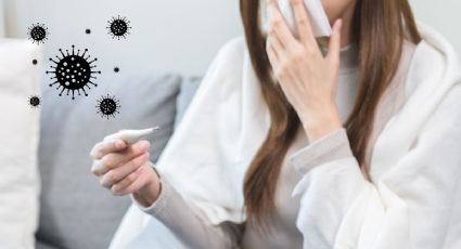 Influenza H3N2: Lista de países con contagios y situación en México este diciembre 2025