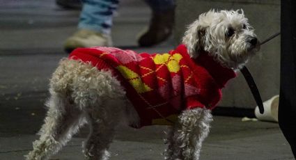 Fríos de 0 a 6 grados para la madrugada del sábado en 6 alcaldías