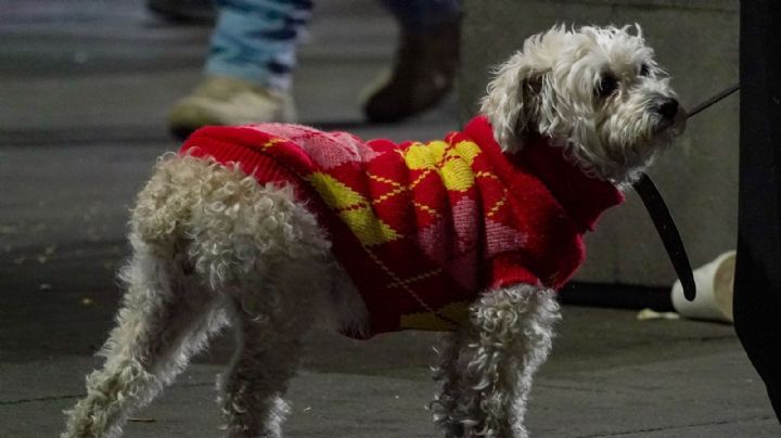 Fríos de 0 a 6 grados para la madrugada del sábado en 6 alcaldías