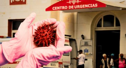 Arbovirosis: ¿Cuál es el grupo de enfermedades virales que causó la muerte de 33 personas en Cuba y cómo se contagia?