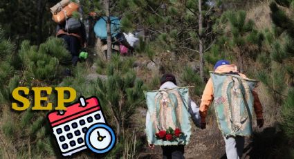 ¿Habrá clases en el Día de la Virgen de Guadalupe? Esto dice la SEP para el próximo 12 de diciembre