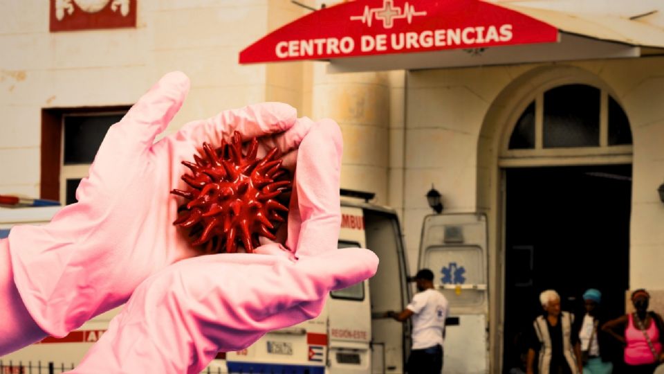 La arbovirosis, que engloba el dengue y el chikungunya, ha generado una epidemia en Cuba con 33 muertes confirmadas, incluyendo 21 menores.