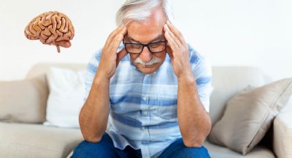 ¿Oler flatulencias ayuda al cerebro? Un estudio abre debate sobre Alzheimer