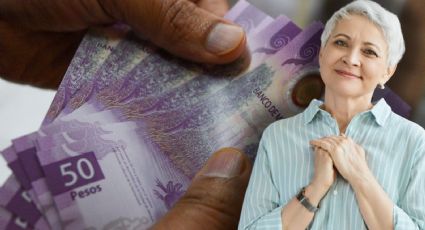 Afore: Conoce los tipos de pensión que podrías recibir