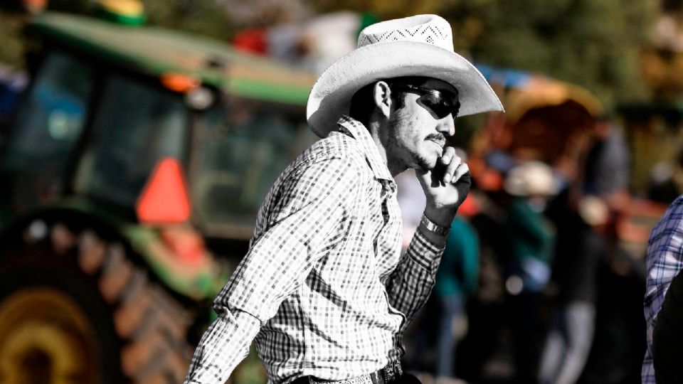 La crisis del frijol en México ha alcanzado una gravedad alarmante.