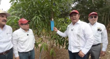 Destaca Agricultura resultados positivos del Programa Binacional contra plagas del algodonero