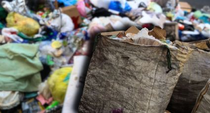 Separación de residuos en la CDMX: ¿Qué debemos saber para 2026?