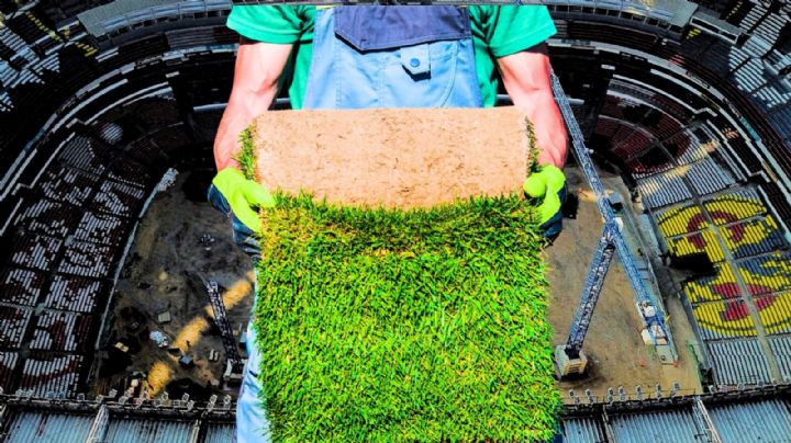 Royalverd: esta es la empresa que instalará el césped en la cancha del Estadio Banorte