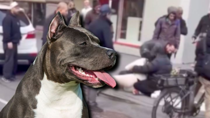 VIDEO | Otro ataque de pitbull: Perro se lanza sobre bebé y muerde su pierna