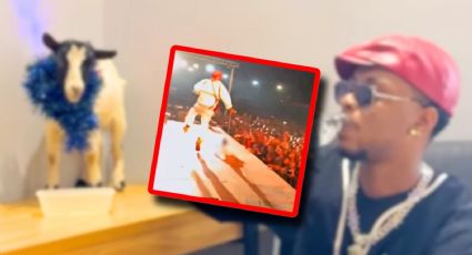 Rapero desata críticas por maltrato animal en pleno concierto