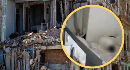 VIDEO | Captan a bebé que permanece dormido durante el sismo de magnitud 7 en Taiwán