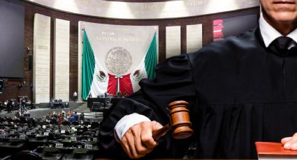 Jueces Sin Rostro: 'Está en juego la responsabilidad internacional de México': Diego Martínez