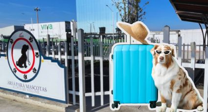 Estas son las zonas petfriendly en el aeropuerto de Monterrey