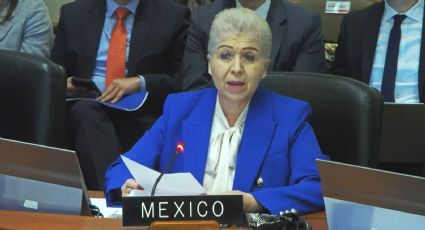 México defiende asilo diplomático en la OEA y exige respeto al derecho internacional