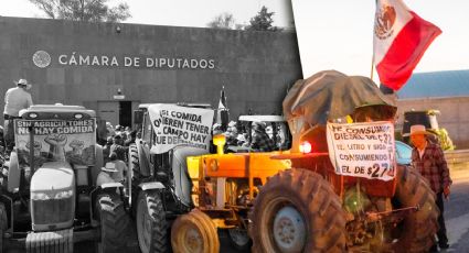 ¿Por qué los productores de maíz se oponen a la nueva Ley del Agua? Mauricio Pérez lo explica