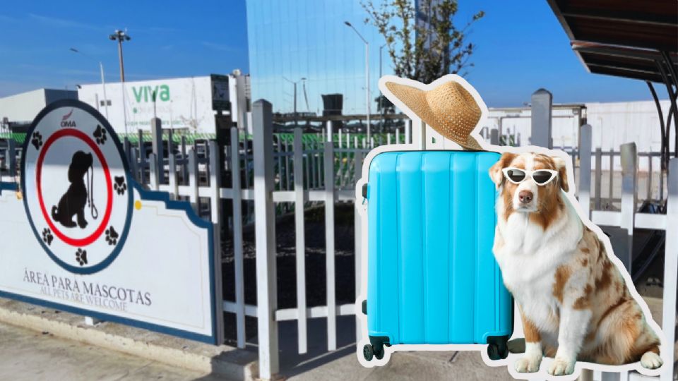 Área pet friendly del Aeropuerto de Monterrey, donde las mascotas pueden descansar antes de viajar.