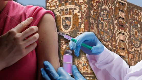 UNAM crea vacuna que cura cáncer de mama y elimina metástasis; lista para pruebas en humanos