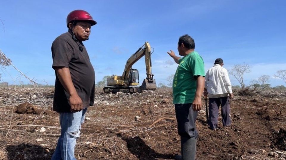 Inspectores de la Profepa colocan sellos de clausura en el desarrollo 'Ciudad Maderas Peninsula II' en Yucatán