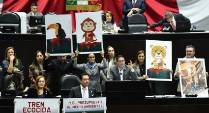 Reforma electoral será la batalla del 2026, advierte diputado federal del PAN