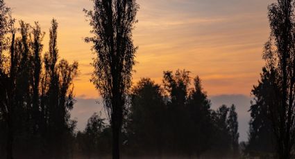 Estos son los mejores lugares para ver el primer amanecer del año 2026