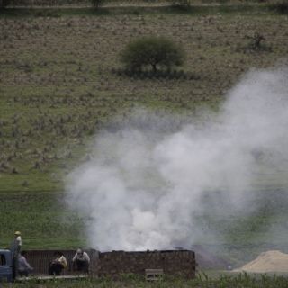 Profepa clausura hornos de carbón ilegales