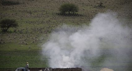 Profepa clausura hornos de carbón ilegales