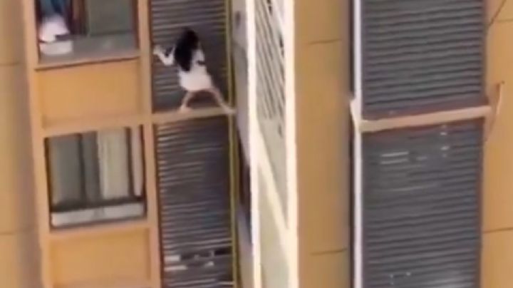 VIDEO | ¡De película! Amante escapa del piso 13 de un edificio y su huida se hace viral