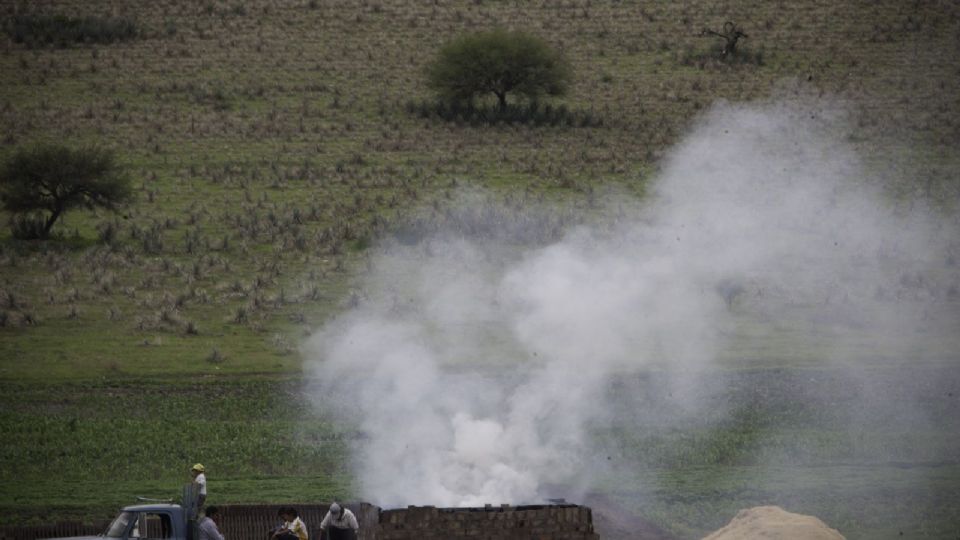 En las inmediaciones fueron hallados 20 tocones correspondientes al mismo número de árboles talados recientemente.