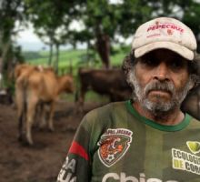 Crisis ganadera: Contrabando y gusano barrenador amenazan a México