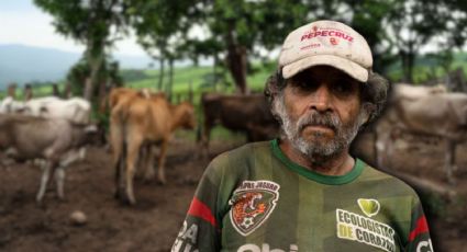 Crisis ganadera: Contrabando y gusano barrenador amenazan a México