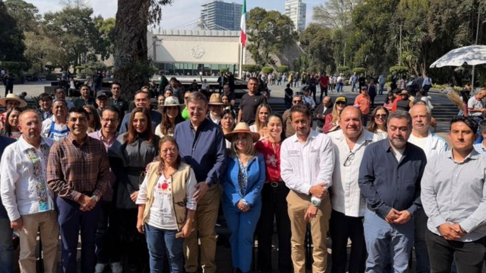Marcelo Ebrard, secretario de Economia.