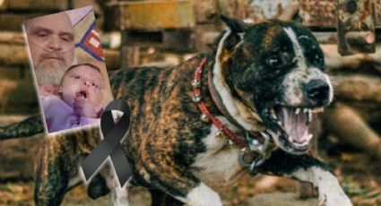 Tragedia en Tennessee: Pitbulls matan a abuelo y a su nieta de 3 meses