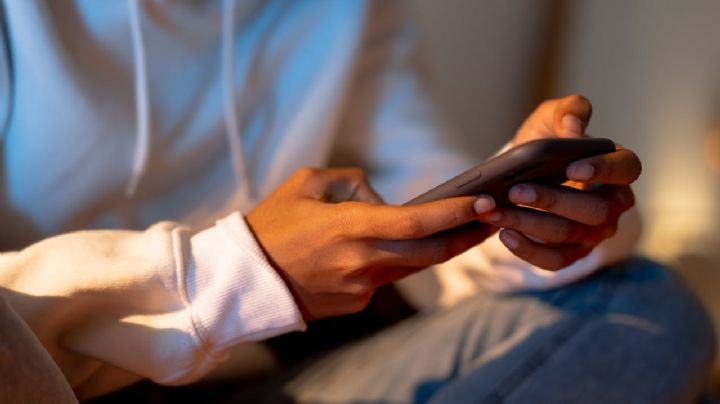 ¿Qué lees en internet?