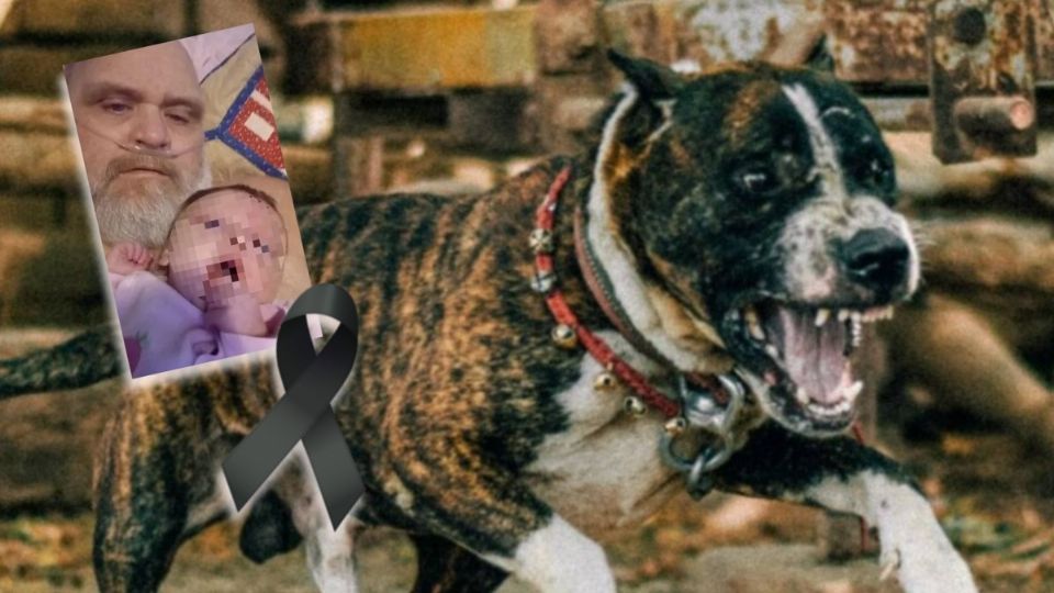 No uno ni dos, sino siete pitbulls le quitaron la vida a un abuelo y su nieta en Tennessee.