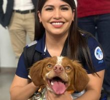 Conoce a Manchas; el primer perro entrenado para detectar fugas de agua