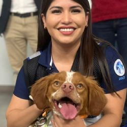 Conoce a Manchas; el primer perro entrenado para detectar fugas de agua