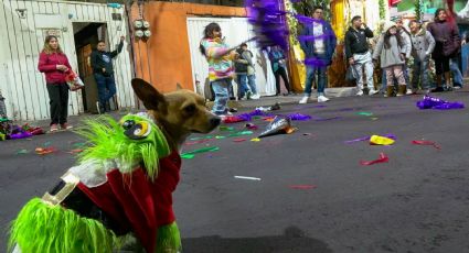 ¿Por qué las posadas comienzan el 16 de diciembre?