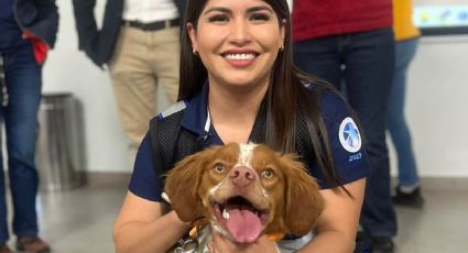 Conoce a Manchas; el primer perro entrenado para detectar fugas de agua