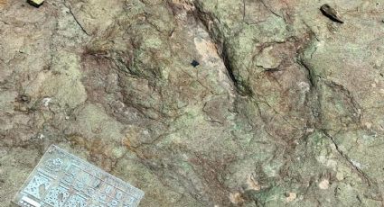 INAH descubre huellas de dinosaurios de hace 120 millones de años en Puebla