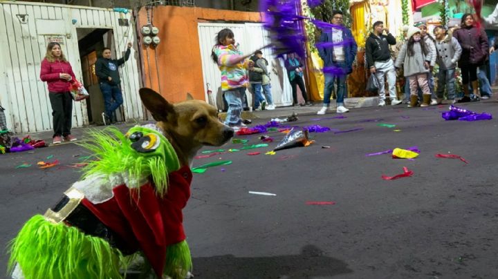 ¿Por qué las posadas comienzan el 16 de diciembre?