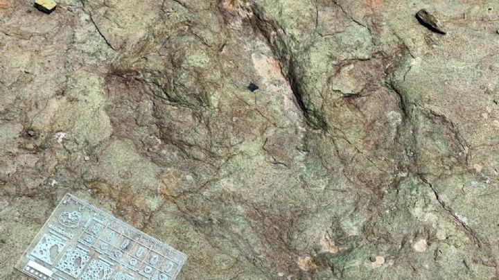 INAH descubre huellas de dinosaurios de hace 120 millones de años en Puebla