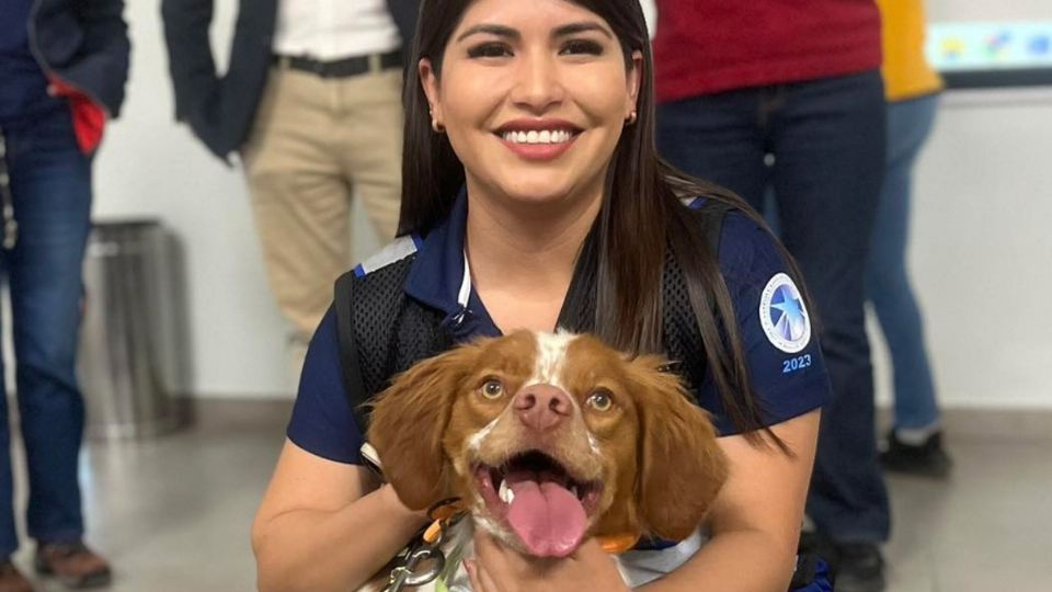 Conoce a Manchas; el primer perro entrenado para detectar fugas de agua