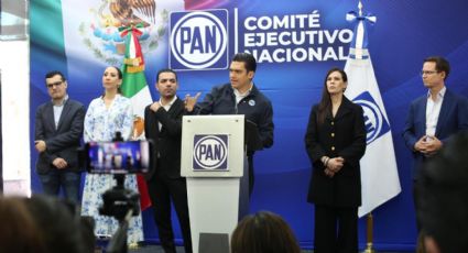 PAN propone medidas para reducir costo de gasolina y luz